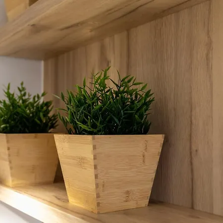 Apartmán Park D9 *